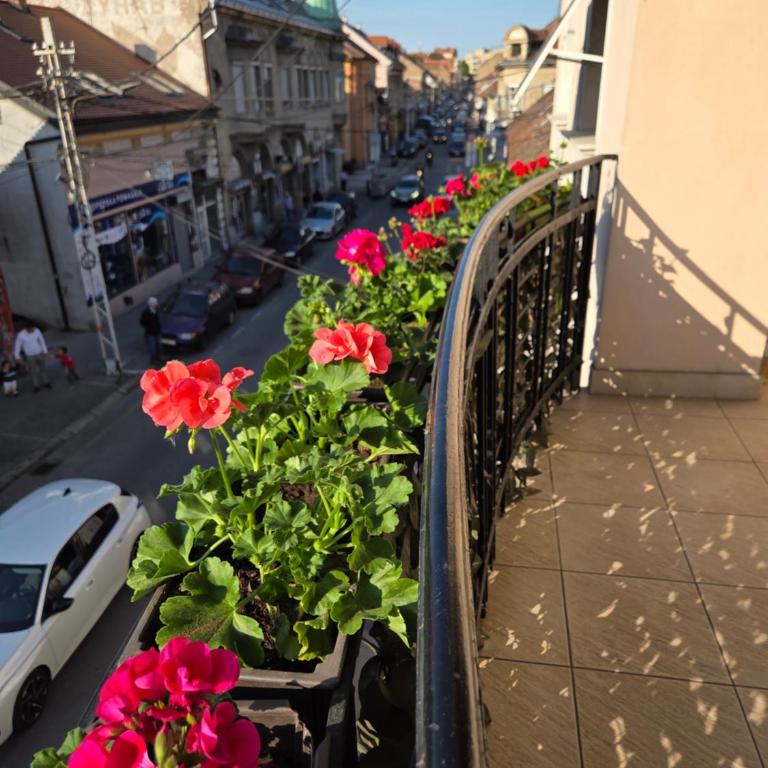 Zemun Center LUX 3 bedroom - Apartman sa 3 Spavaće Sobe - 3