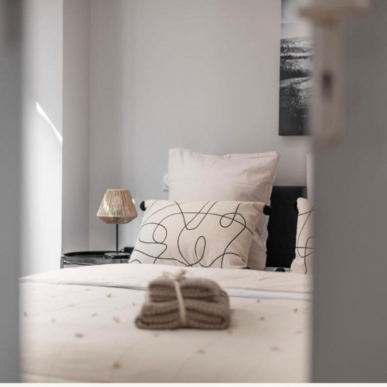 Appartement luxueux compans caffarelli parking privé gratuit jardin japonais 4 personnes - One-Bedroom Apartment - 3