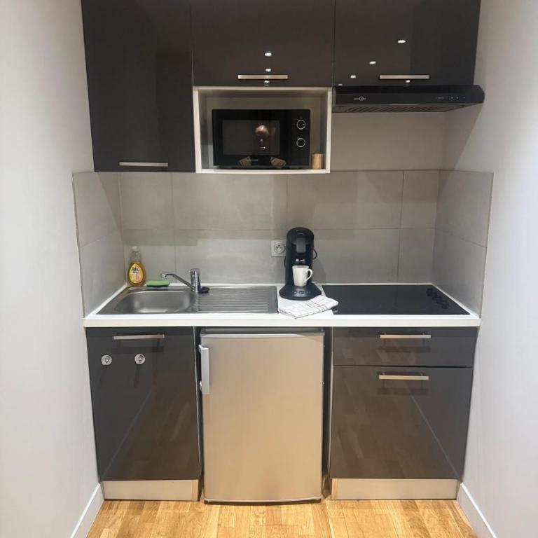 Appartement luxueux compans caffarelli parking privé gratuit jardin japonais 4 personnes - One-Bedroom Apartment - 10