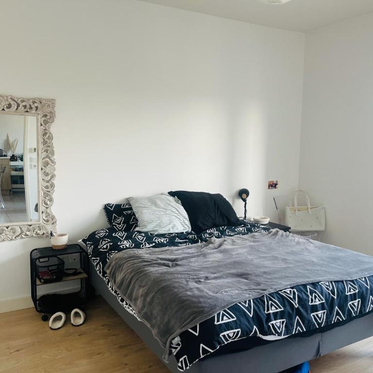 Anglet Cinq Cantons - T2 avec balcon - Appartement 1 Chambre - 4