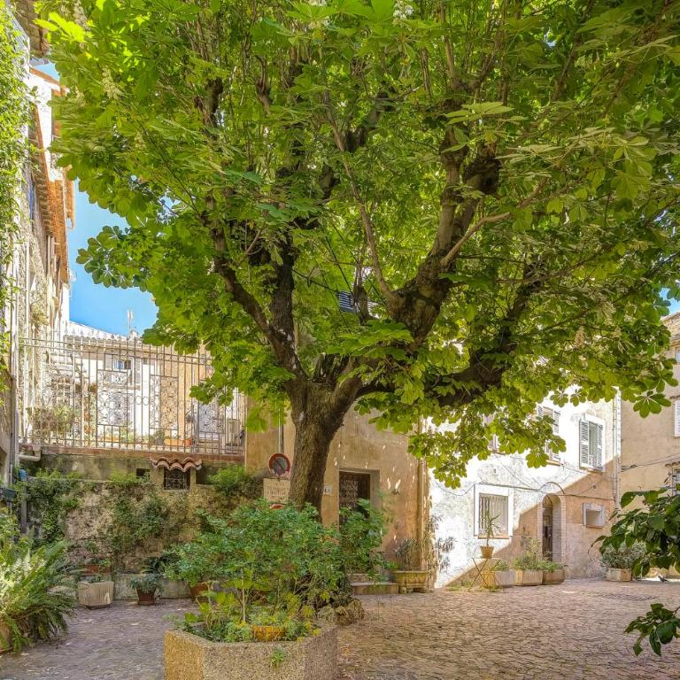 Charmant 2 pièces à 5 minutes de Cannes - Appartement - Vue sur Ville - 5