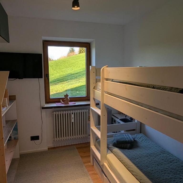 Bergchalet mit Pool und Sauna, ganz nah am Bikepark Weitnau, direkt am Skilift - Apartment mit 1 Schlafzimmer - 27