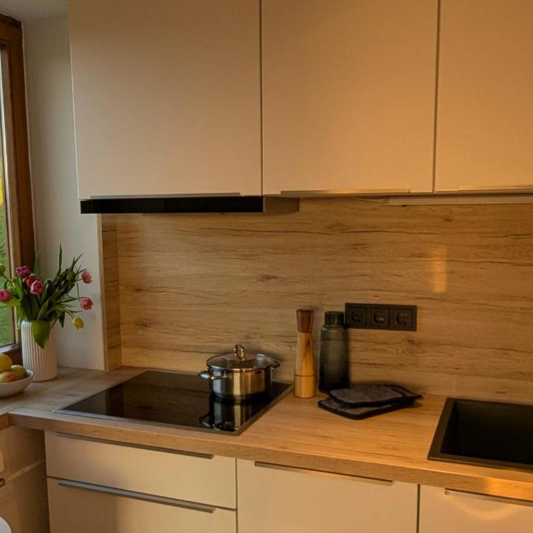 Bergchalet mit Pool und Sauna, ganz nah am Bikepark Weitnau, direkt am Skilift - Apartment mit 1 Schlafzimmer - 4