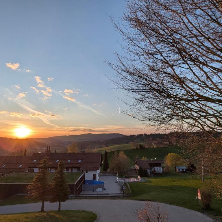 Bergchalet mit Pool und Sauna, ganz nah am Bikepark Weitnau, direkt am Skilift - Apartment mit 1 Schlafzimmer - 61
