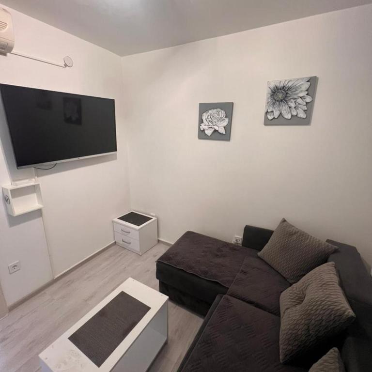 Cozy Trio Apartments Budva - One-Bedroom Apartment with Terrace - 5