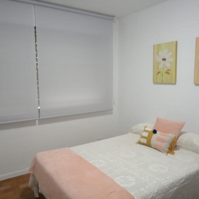 Piso Antonio Mestre - Apartamento - 5