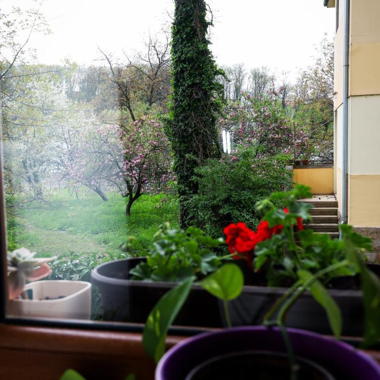 BellaVita Apartman - One-Bedroom Apartment - 17
