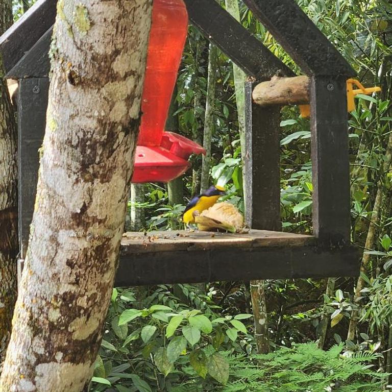 Glamping Barbosa Antioquia - Vacation Home - 53