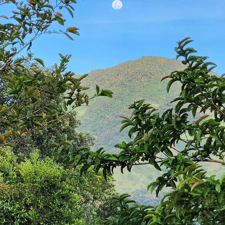 Glamping Barbosa Antioquia - Vacation Home - 49