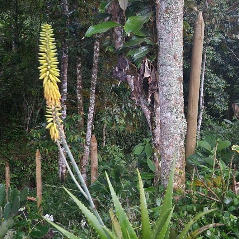 Glamping Barbosa Antioquia - Vacation Home - 48