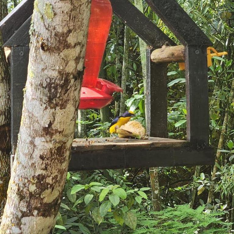 Glamping Barbosa Antioquia - Vacation Home - 34