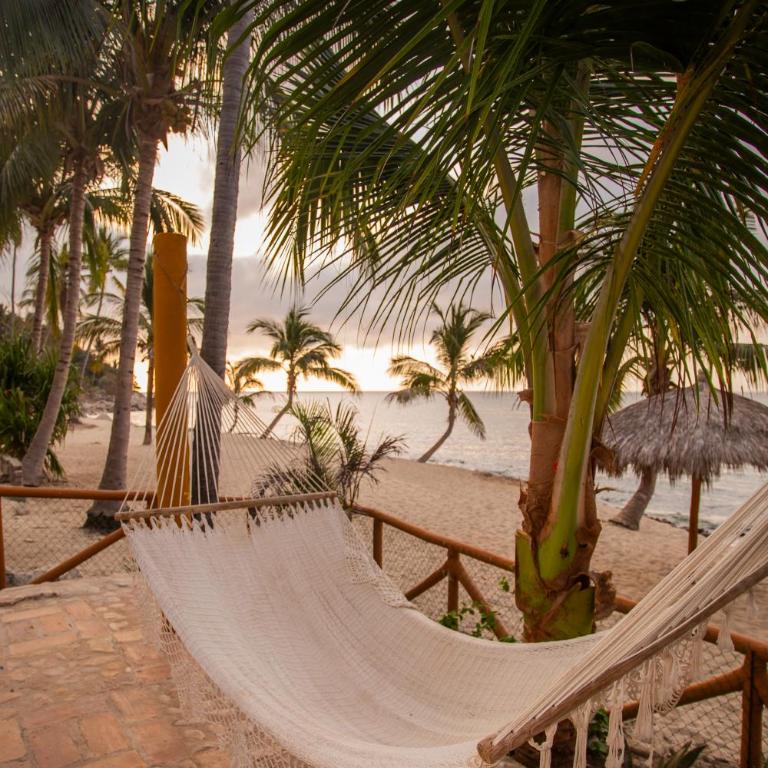 Panchos Paradise - Casa - 1