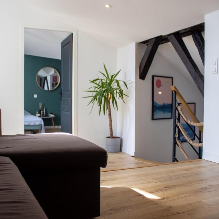 Grand appartement au cœur de Dax - Appartement 3 Chambres - 39