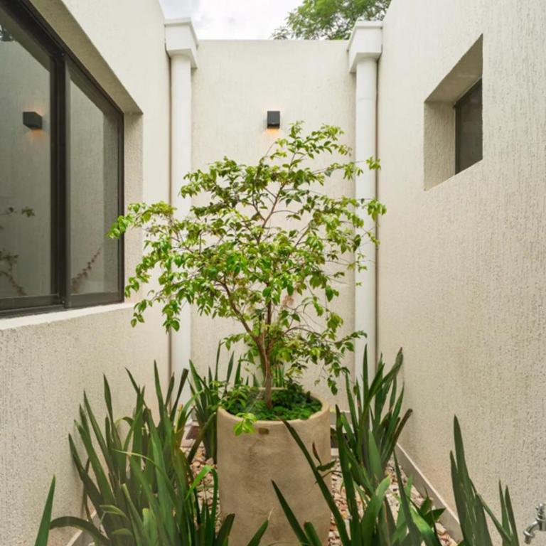 Spacious and elegant house in San Bernardino - Apartamento - 10