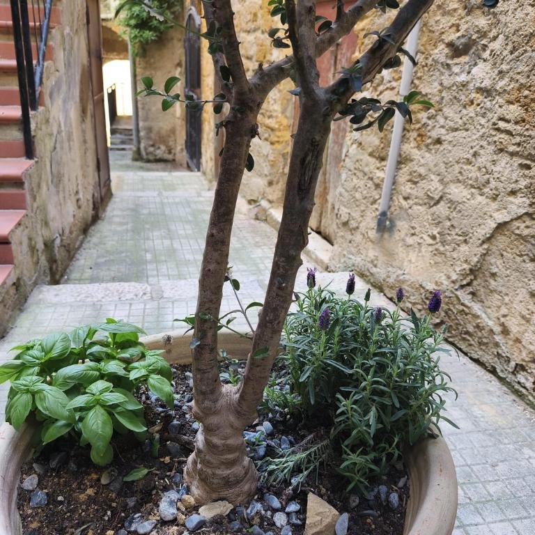 Casa Damarete - Casa Vacanze - 66