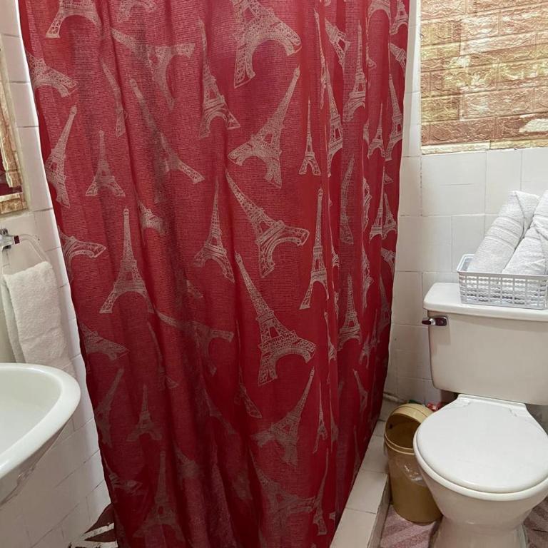 BAÑOS MINI DEPARTAMENTO AMOBLADO EN PLENO CENTRO de LA CIUDAD - One-Bedroom Apartment - 6