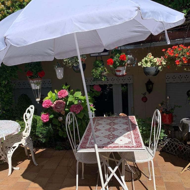 Studio coquet amboise - Studio avec Terrasse - 7