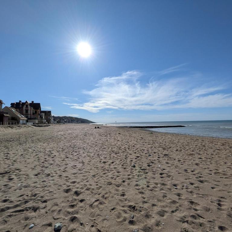 Superbe appartement Villa Carmen, magnifique vue mer, accès direct plage, proche Deauville - Apartamento de 3 dormitorios - 17