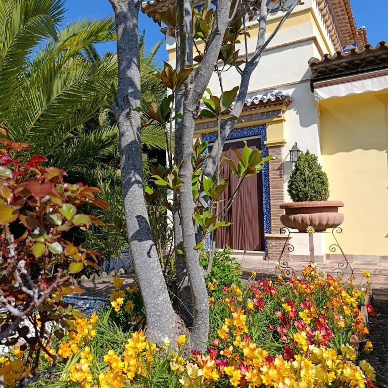 Andalusian experience - Villa Deluxe - 10