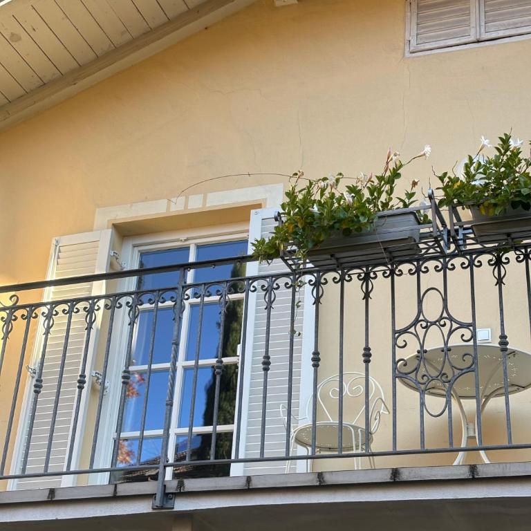Guest Rooms Villa Bux - Suite con Balcone - 6