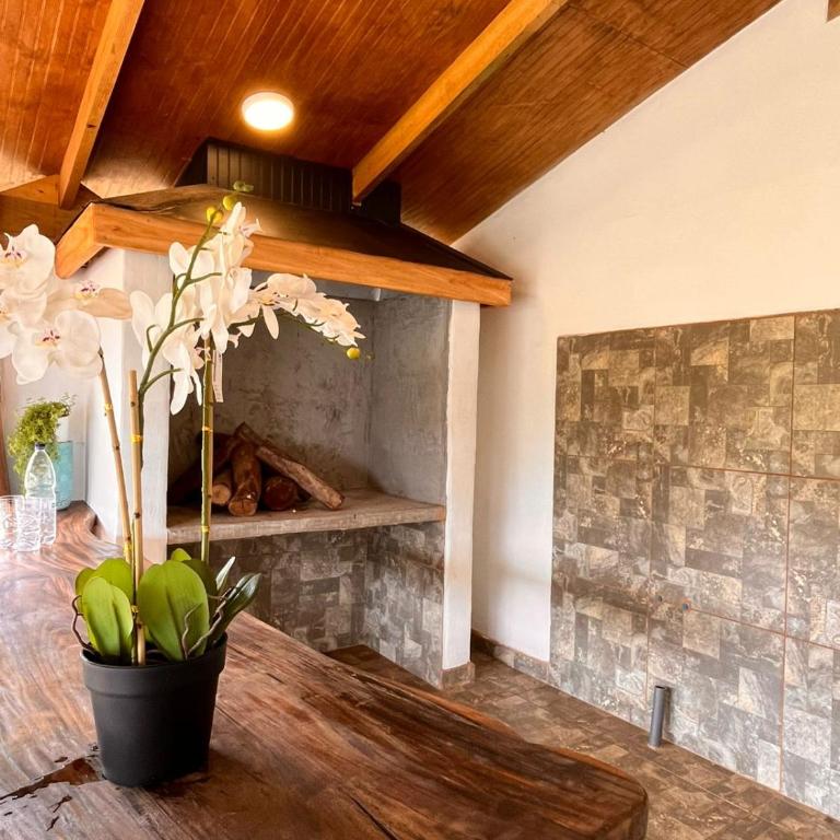 Hare o Mati - Two-Bedroom House - 3