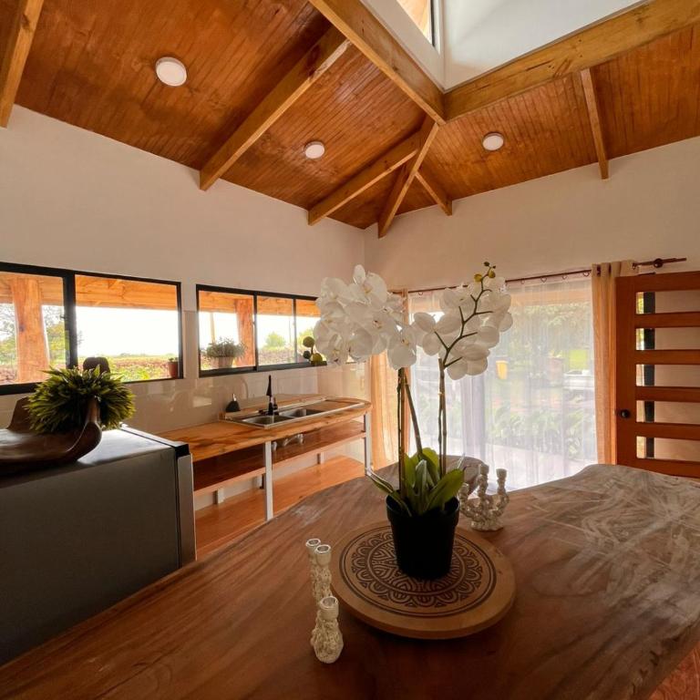 Hare o Mati - Two-Bedroom House - 29