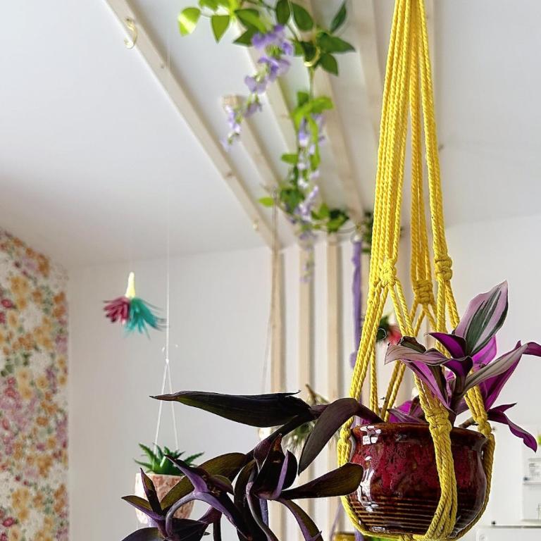 Studio fleuri - Monolocale - 27