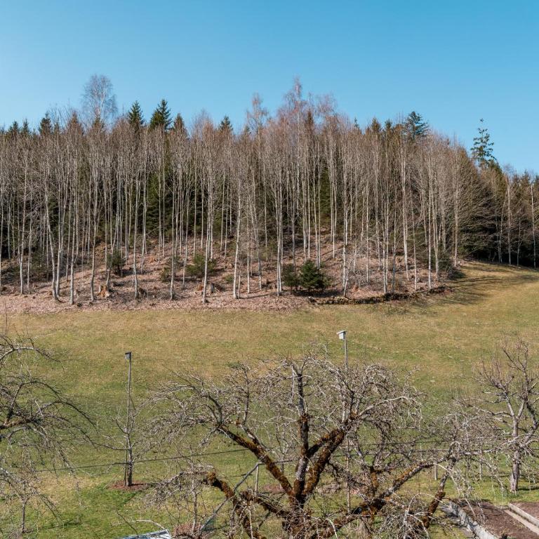 Loft Alpenpanorama mit 2 Balkonen - Apartment mit 1 Schlafzimmer, Balkon und Bergblick - 35
