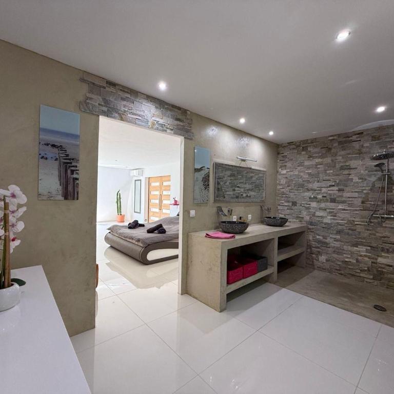 PRAMOUSQUIER VILLA LOFT DE CHARME 2 PISCINES interieure et exterieure - Villa 3 Chambres - 24