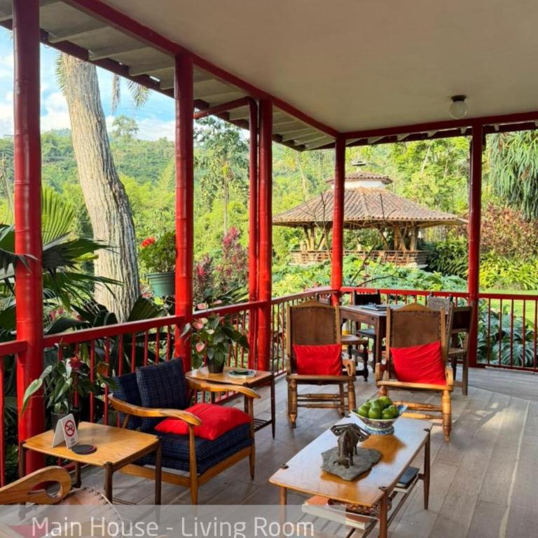 Hacienda Venecia Coffee Farm Hotel - Suite Superior - CASA PRINCIPAL - 3