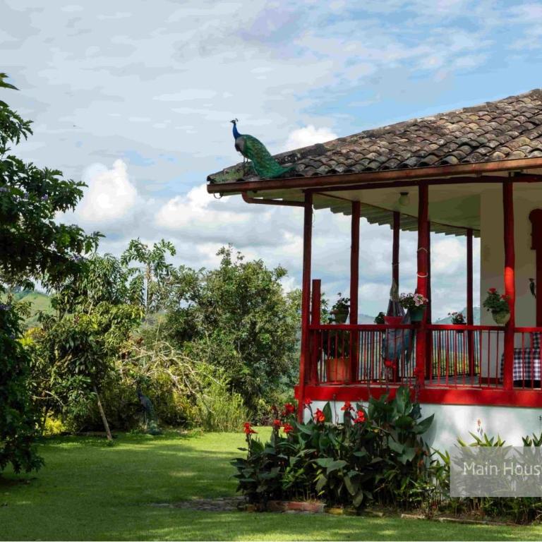 Hacienda Venecia Coffee Farm Hotel - Suite Superior - CASA PRINCIPAL - 4
