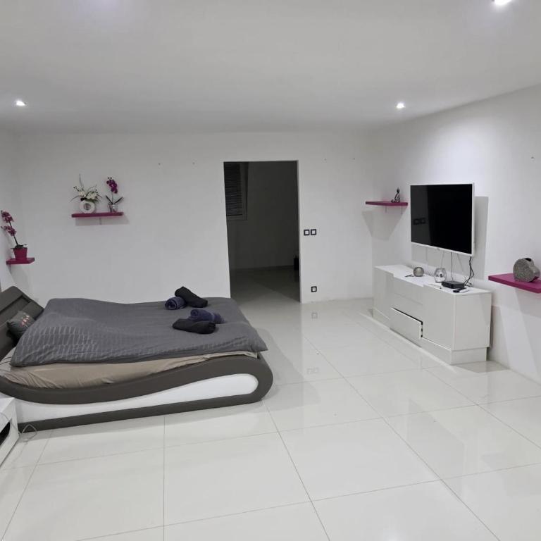 PRAMOUSQUIER VILLA LOFT DE CHARME 2 PISCINES interieure et exterieure - Villa 3 Chambres - 22