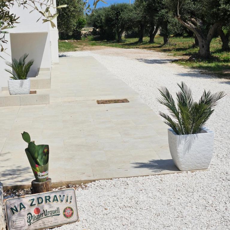 Oasi San Nicola Guest House of Puglia - Appartamento con 1 Camera da Letto e Vista Mare - 6