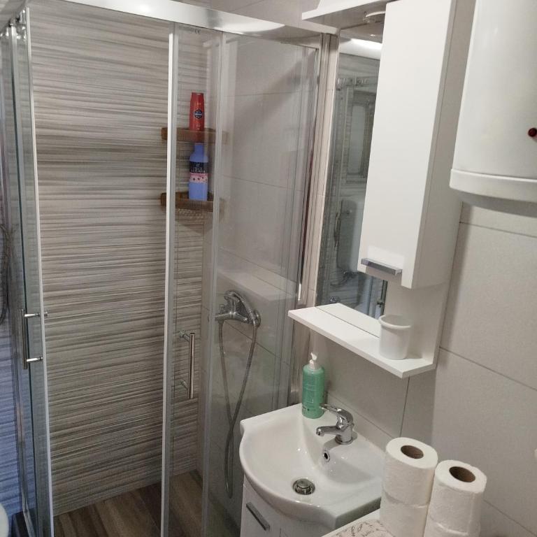 Apartman ENA - Apartman sa 1 Spavaćom Sobom - 11
