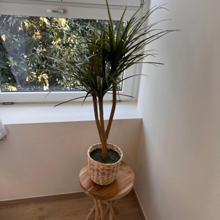 Linate House 5 - Appartamento con 1 Camera da Letto - 9