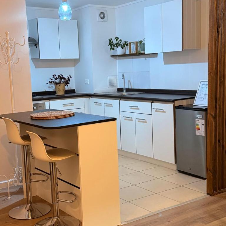 Amplio departamento con terraza y estacionamiento privado - Two-Room Apartment - 20