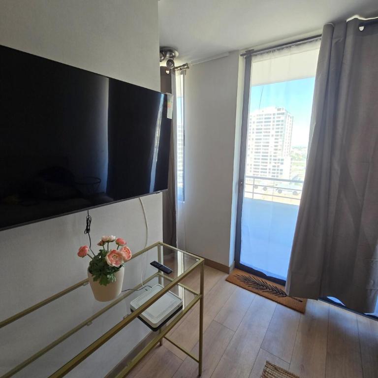 El Rinconcito de Alita y Dayans, Metro Cerrillos - One-Bedroom Apartment - 2