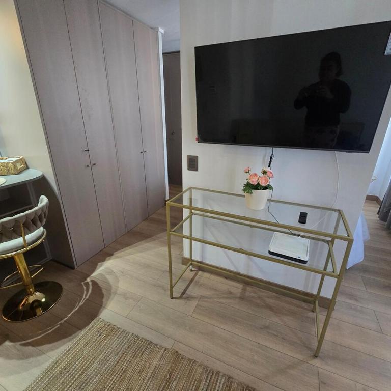 El Rinconcito de Alita y Dayans, Metro Cerrillos - One-Bedroom Apartment - 5