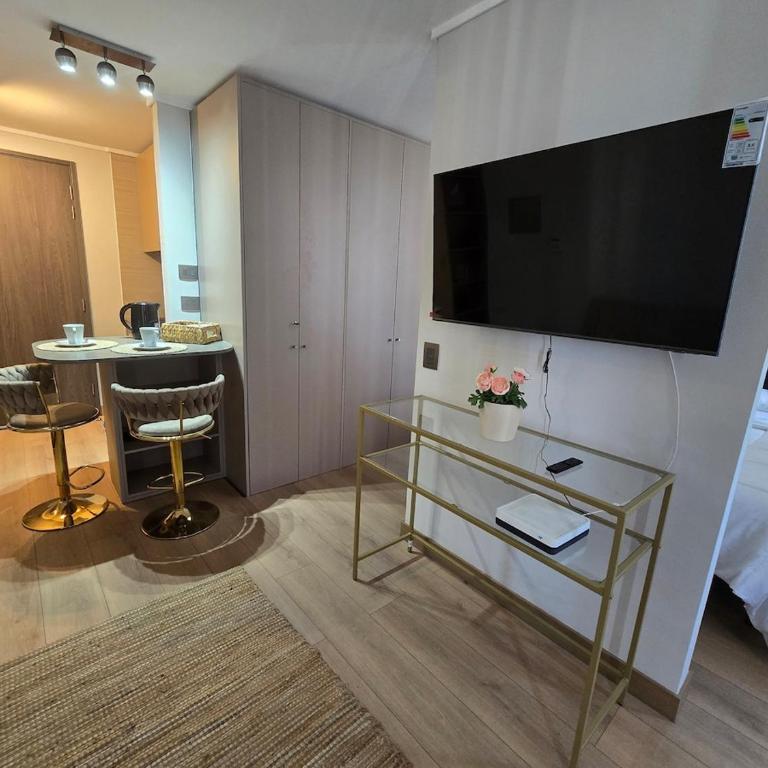El Rinconcito de Alita y Dayans, Metro Cerrillos - One-Bedroom Apartment - 15