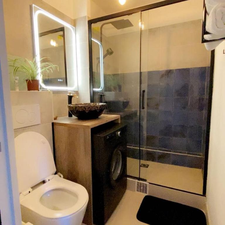 Charming studio in Paris 12th arrondissement - Studio - 11