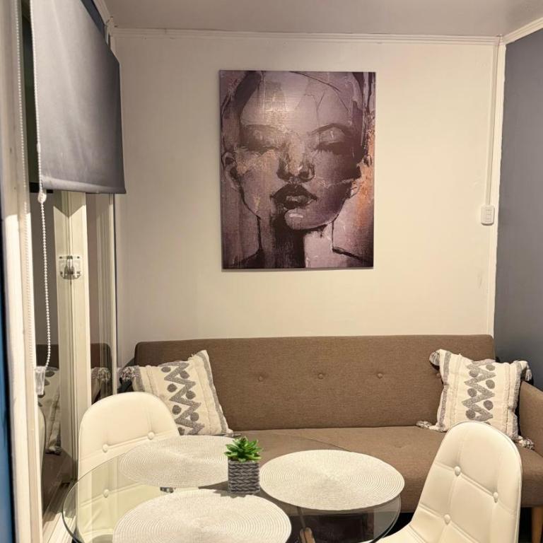 Departamento acogedor Temuco - One-Bedroom Apartment - 4