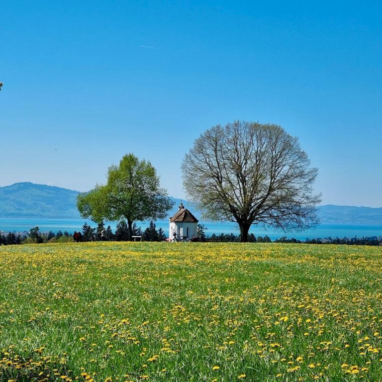 Ferienwohnung Aussichtsreich - großzügig mit Terrasse und Aussenkamin - Appartamento con Vista Montagna - 21