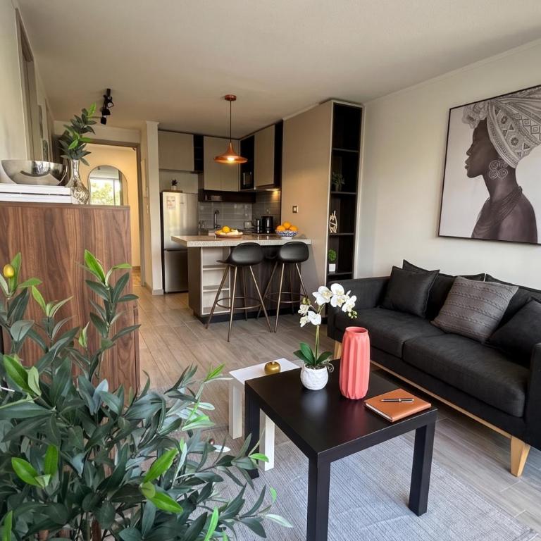 Centro de Santiago I Movistar Arena I 1H1B - One-Bedroom Apartment - 3