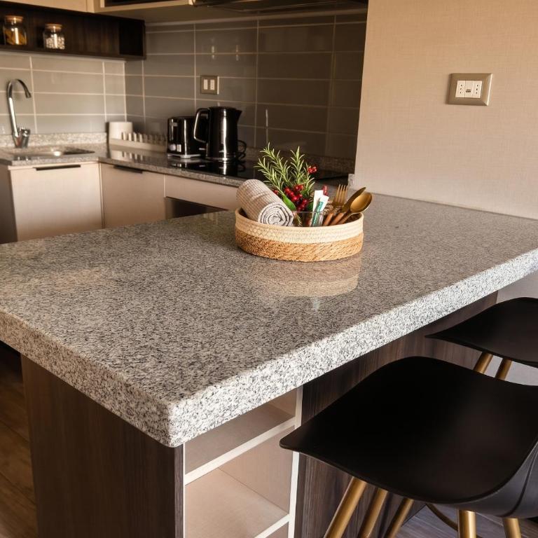 Centro de Santiago I Movistar Arena I 1H1B - One-Bedroom Apartment - 10