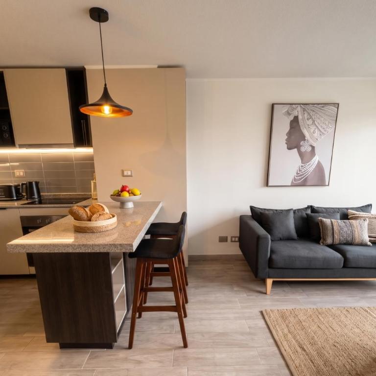 Centro de Santiago I Movistar Arena I 1H1B - One-Bedroom Apartment - 1