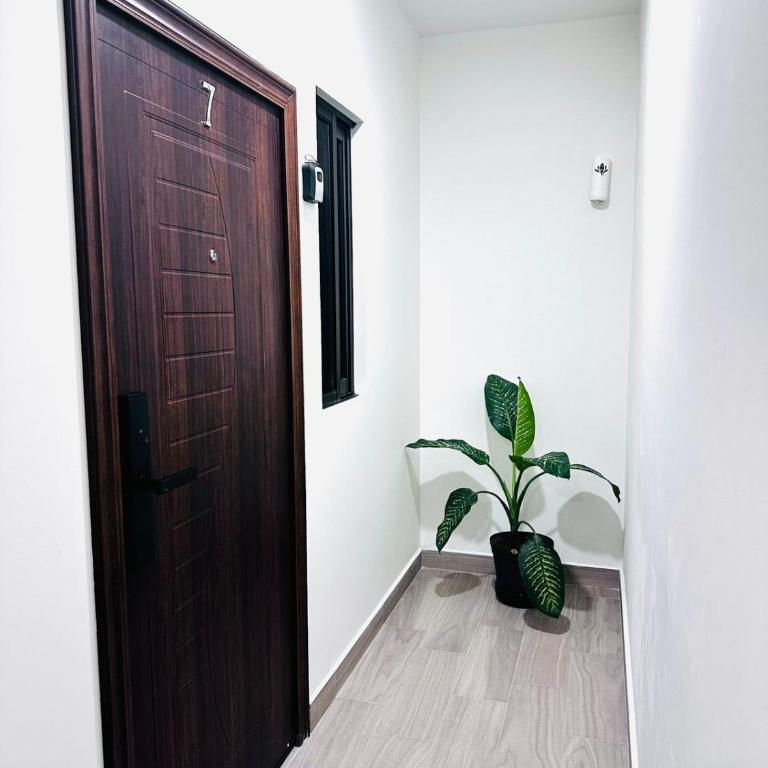 Loft 5 CABOLIRA - Apartment - 12