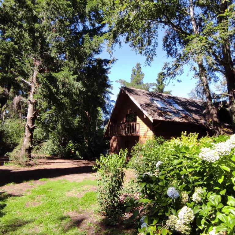 Casa Las Bandurrias Pucón-Chile - Four-Bedroom House - 43