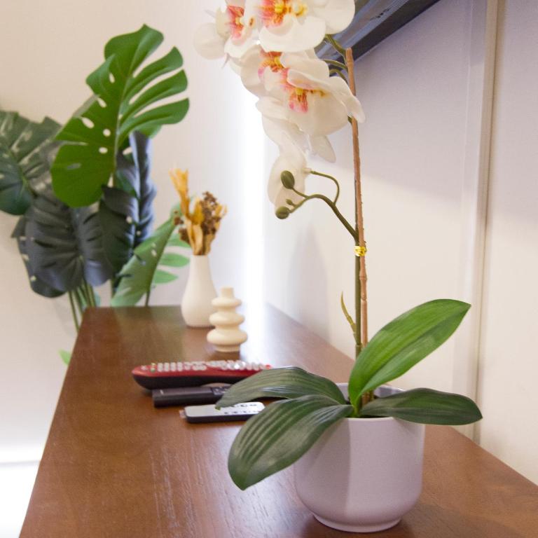 Luxury Apartment Near Rodadero 8 Guests AC WiFi S&N Prime Hosting - Apartamento - 18