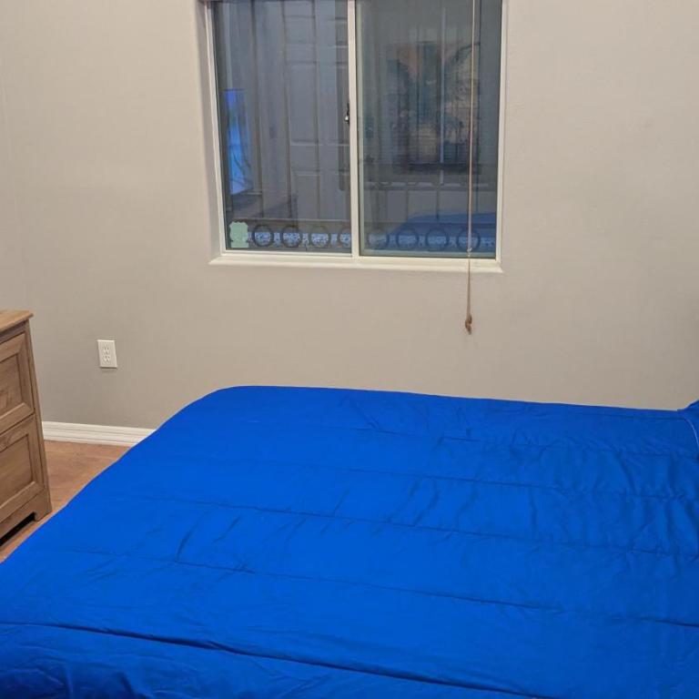 Whale Hill Escape - Beach Views and Walk to Mannys - Three-Bedroom House - 23