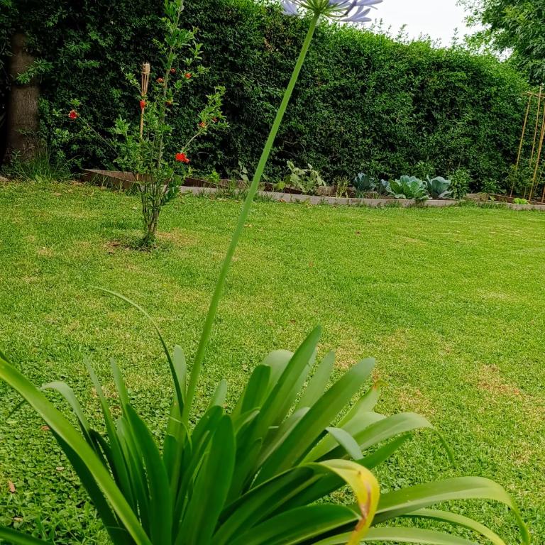 Los colibries de Duggan - Casa de 3 dormitorios - 15